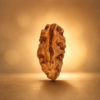 1 Mukhi Rudraksha – Benefits, Mantra, Sun & Lord Shiva