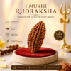 1 Mukhi Rudraksha – Benefits, Mantra, Sun & Lord Shiva