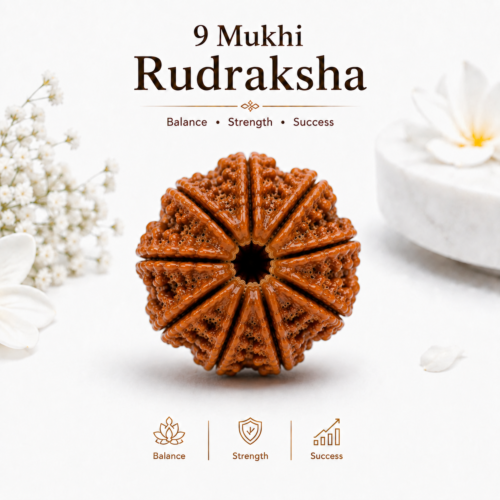 9 Mukhi Rudraksha – Benefits, Mantra, Ketu & Goddess Durga